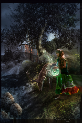 Wundersame Nacht in Markelsheim